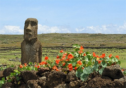 Moai and flowers