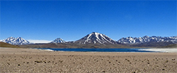  Laguna Miscanti, above the Atacama