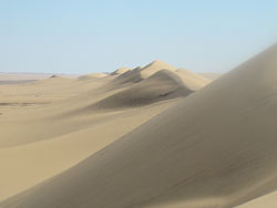 Farafra dunes