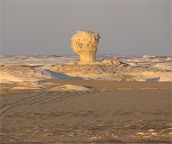 White Desert Natural Sculpture