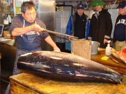 Carving tuna, Tsukiji Fish Market, Tokyo