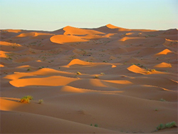 Sahara dunes near Merzouga 
